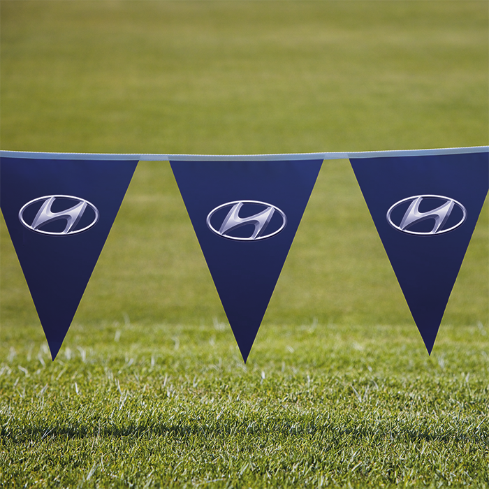 Pennants PVC Digital Single Sided Triangle