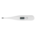 Thermometer in Transparent Box