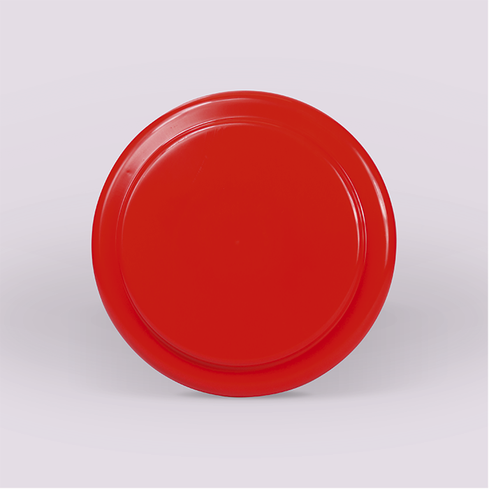 Frisbee Vanessa