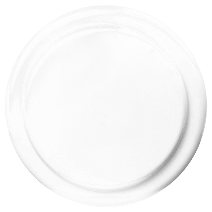 Frisbee Vanessa