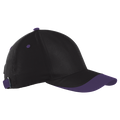 6 Panel Sway Cap