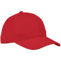 6 Panel Raven Cap