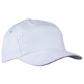 6 Panel Carbon Cap